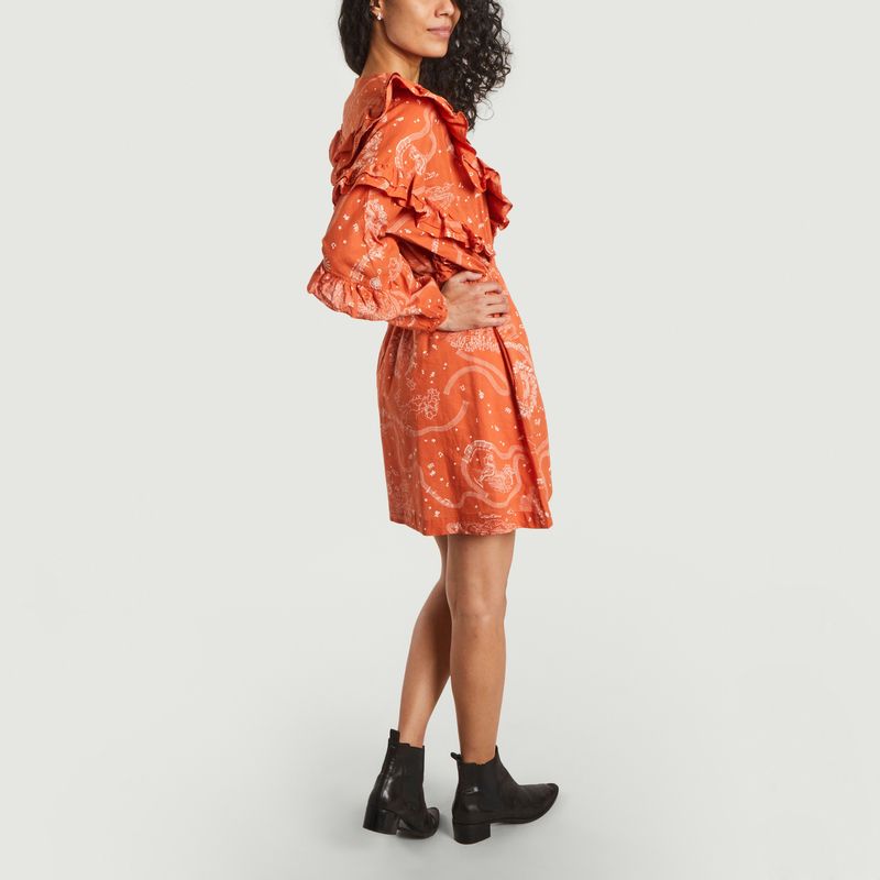 Daily Lucio dress in printed flamed cotton - Roseanna