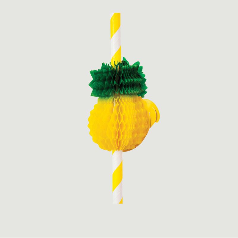 Pailles Ananas - Sunny Life