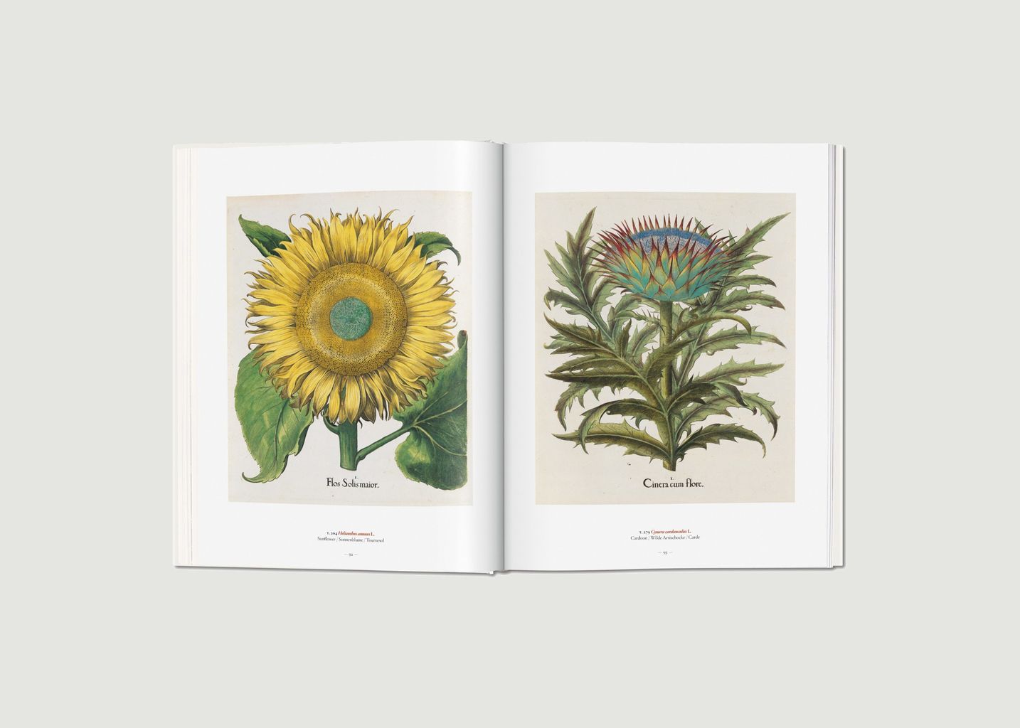 A Garden Eden. Masterpieces of Botanical Illustration - Taschen