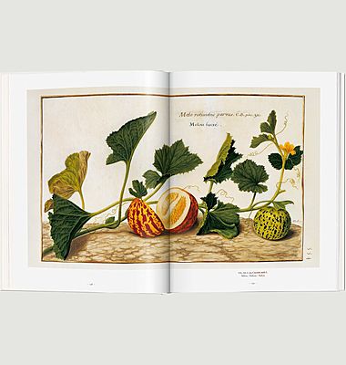 A Garden Eden (Garten Eden). Meisterwerke der botanischen Illustration