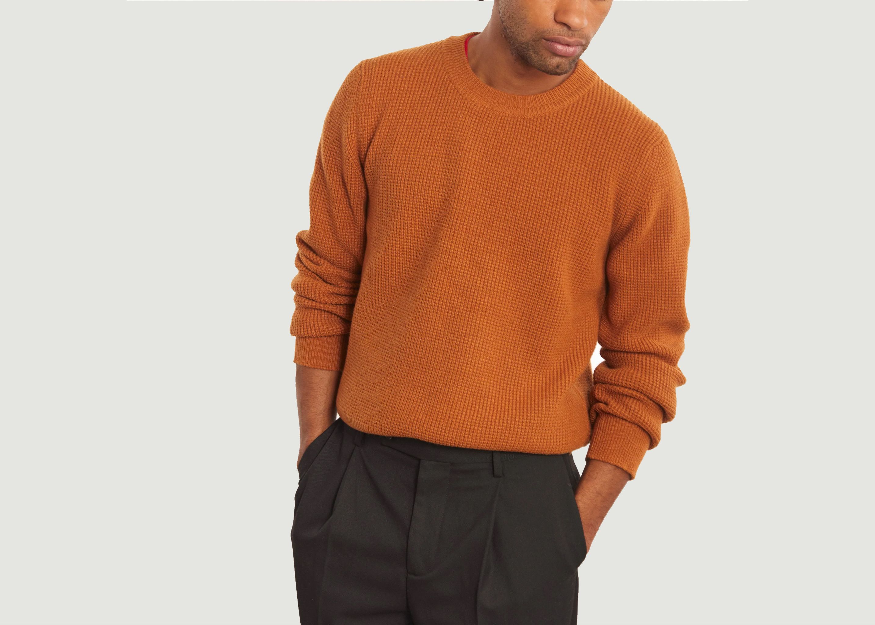 Wool & cashmere round neck jumper  - Tricot