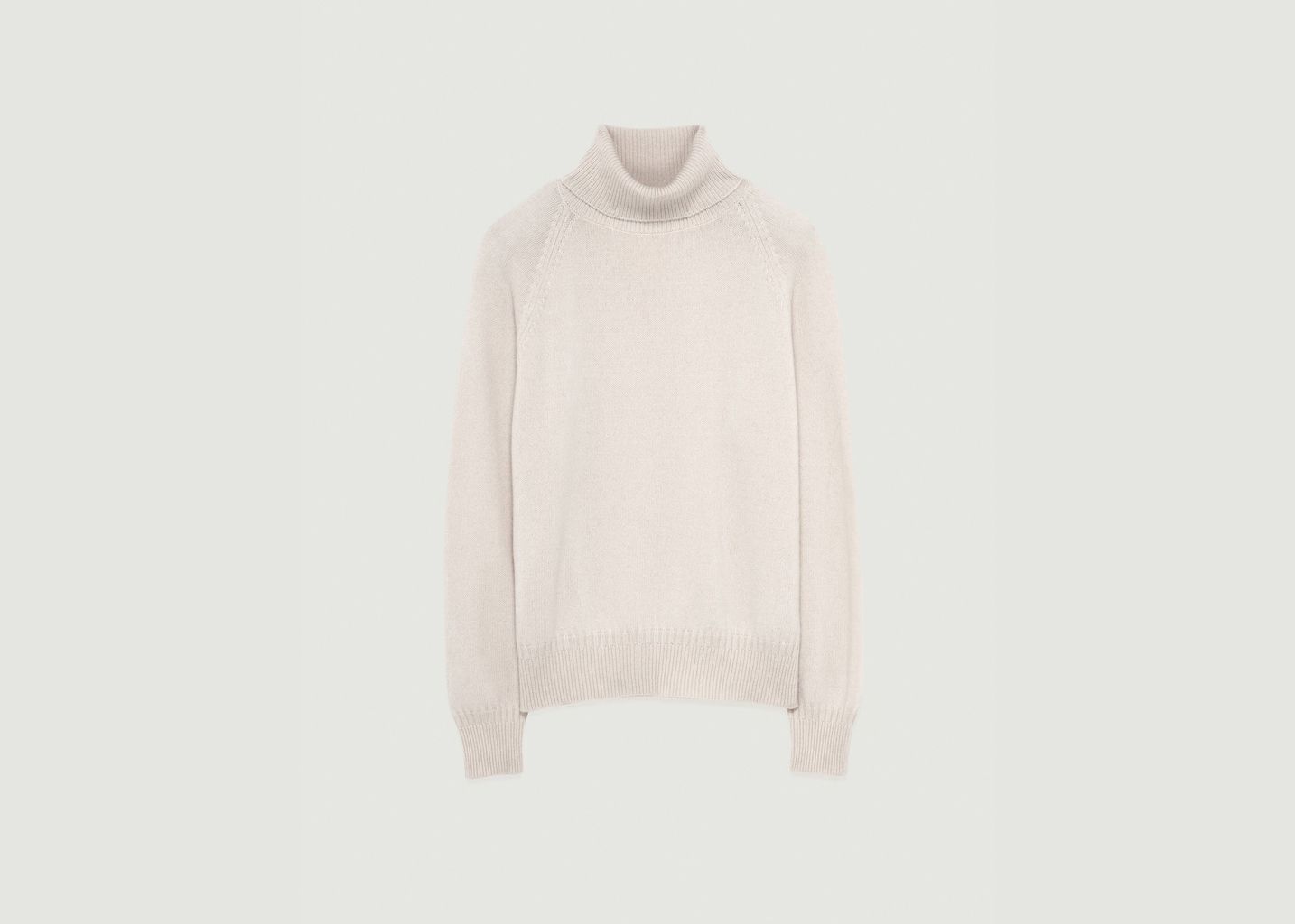 Cashmere Turtleneck - Tricot