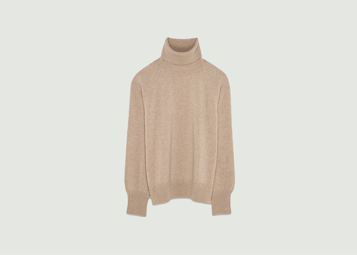 Cashmere Turtleneck - Tricot