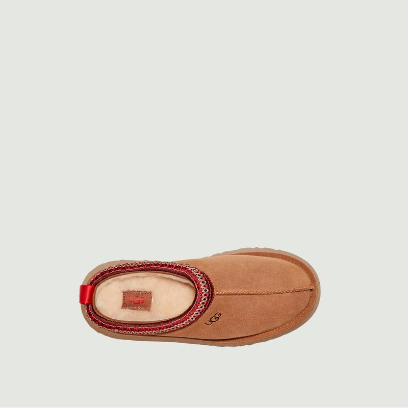 Tazz slippers - Ugg