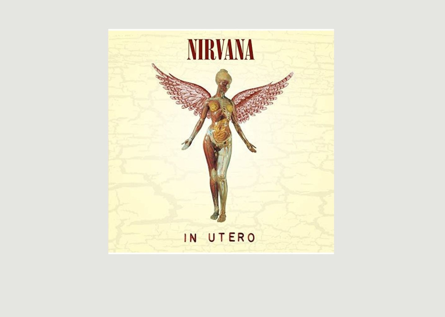 In Utero - Nirvana - La vinyl-thèque idéale