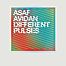 Different Pulses - Asaf Avidan - La vinyl-thèque idéale