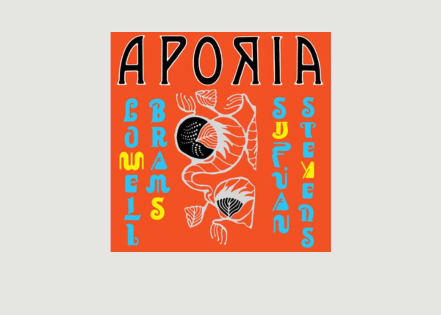 Aporie - Sufjan Stevens - La vinyl-thèque idéale