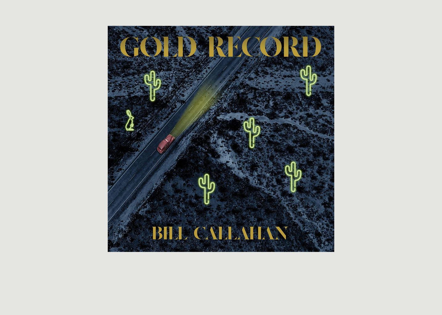 Bill Callahan - Goldene Schallplatte - La vinyl-thèque idéale