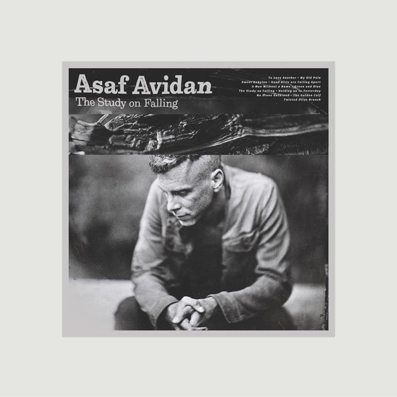 Vinyl Asaf Avidan - The Study On Falling - La vinyl-thèque idéale