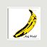 Vinyle The Velvet Underground & Nico - La vinyl-thèque idéale