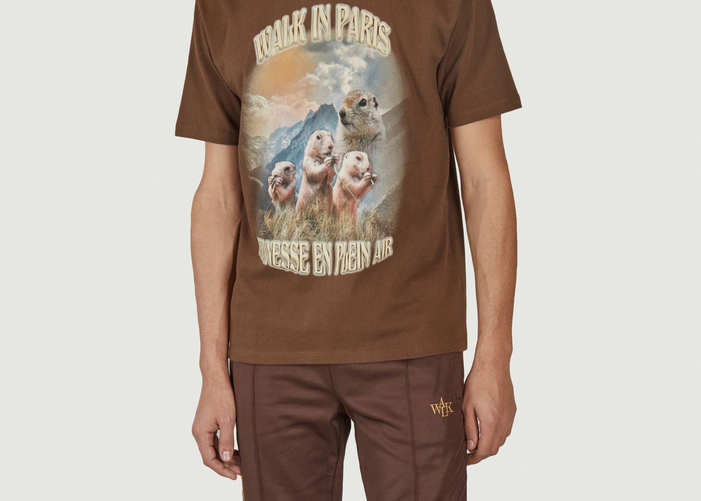 The Grisons marmot T-shirt - Walk in Paris
