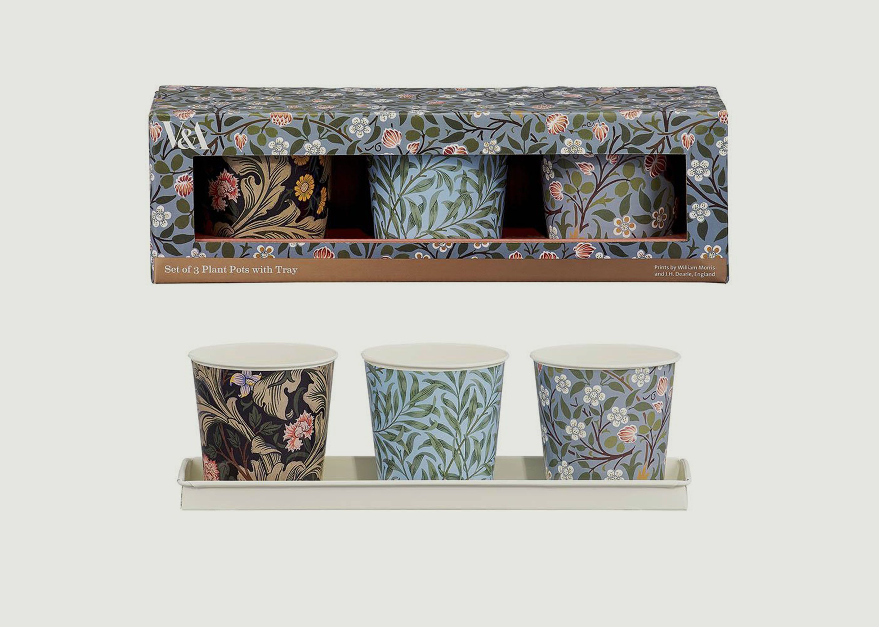 Set of 3 Plant Pots with Tray - Wild & Wolf