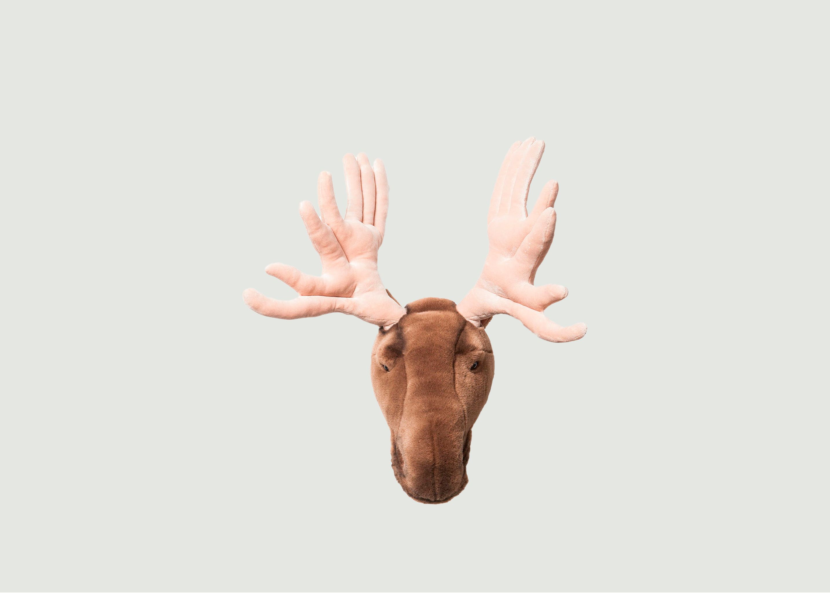 Alfred moose head - Wild & Soft