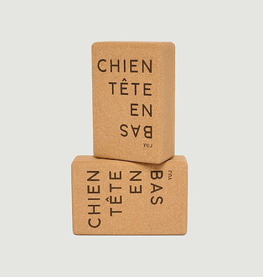 Pack de 2 Briques de yoga Chien Tête en Bas
